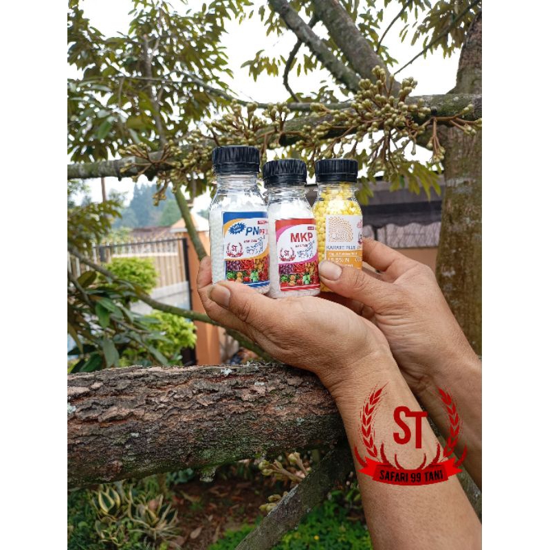 paket hemat Repack MKF 100grm KNO3 100grm BORON 100grm