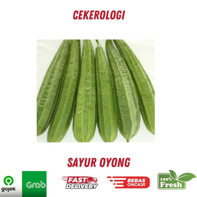 

Sayur Oyong 500gr / Sayur Gambas / Sayur Oyong / Oyong / Sayur Oyong Fresh Berkualitas / JABODETABEK / Sayur / Sayur Sayuran