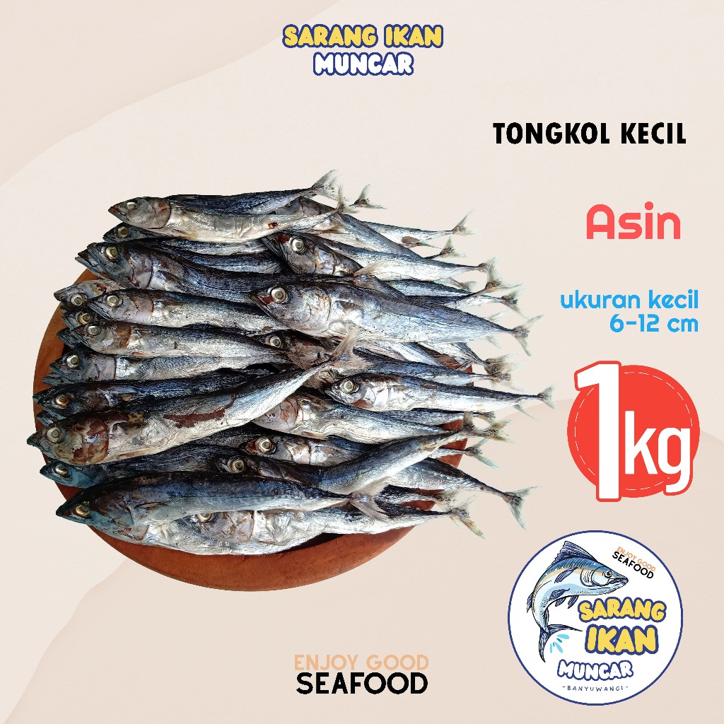 

BABY TONGKOL / TONGKOL KECIL ASIN PREMIUM TERMURAH 1 KG