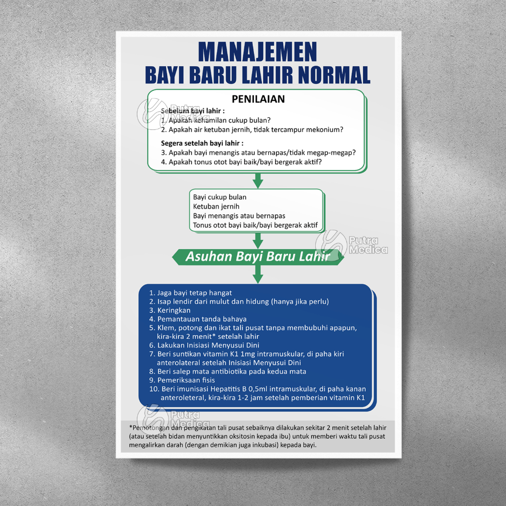 Poster Kesehatan Manajemen BBL Bayi Baru Lahir Normal A3+ / Gambar Edukasi Kebidanan Perawatan Bayi