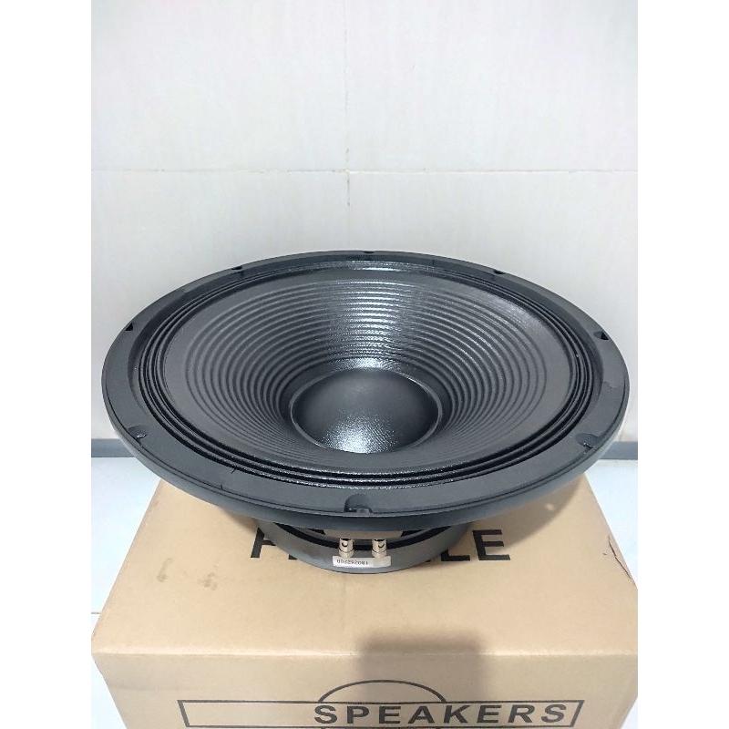 Speaker BNC 15TBX100