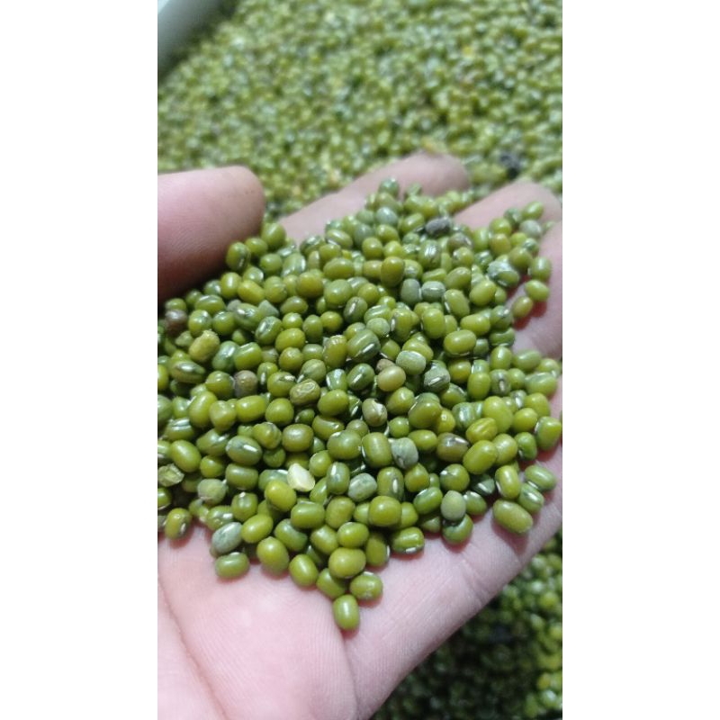 

kacang hijau import