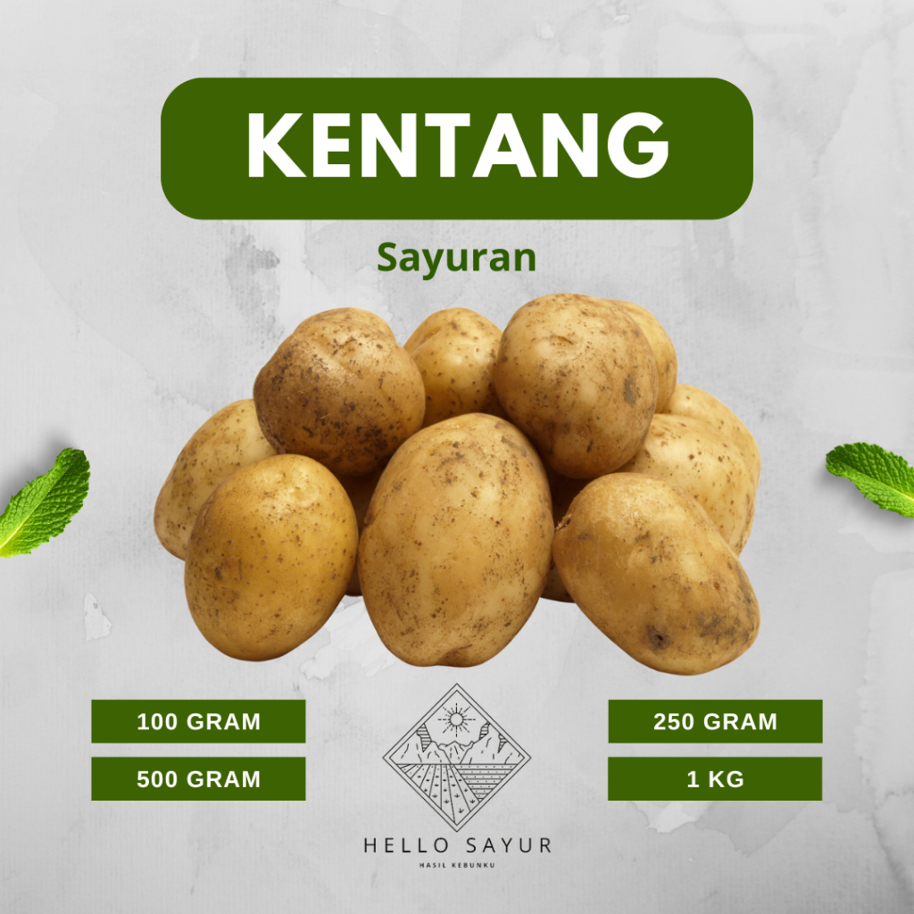 

Hello Sayur - Kentang / Potato Fresh / Kupas non kupas