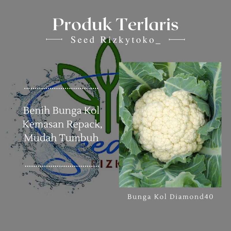 Bibit/benih bunga kol diamond40 dataran rendah 10biji repacking