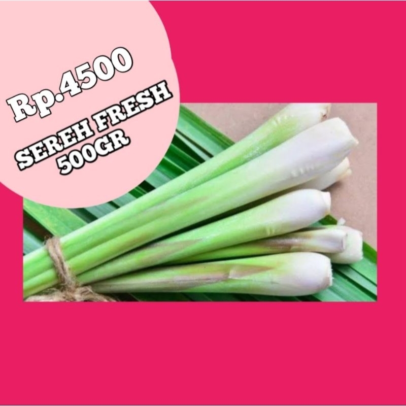 

Sereh fresh 500gr