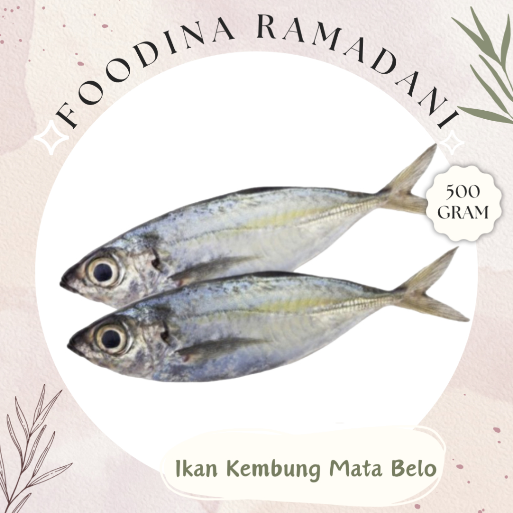 

IKAN KEMBUNG Mata Belo - Mackerel Fish Fresh [ Berat 500gr ] Harga Per 0,5 Kg