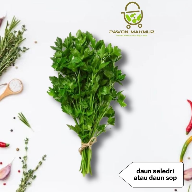 

DAUN SOP / DAUN SELEDRI IKAT BESAR