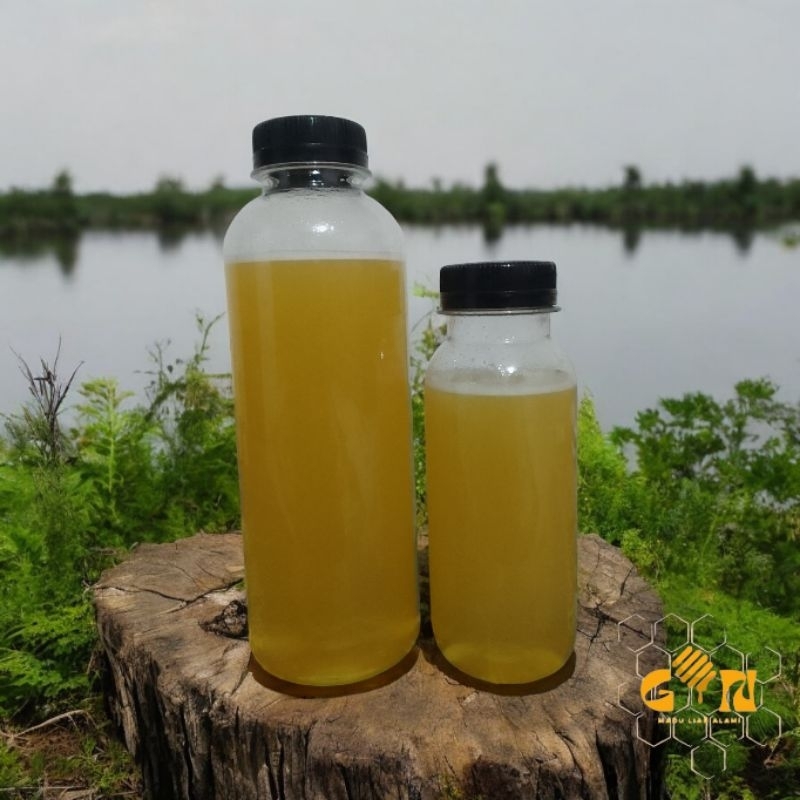 

Madu hutan liar alami 150gr (limited stok)