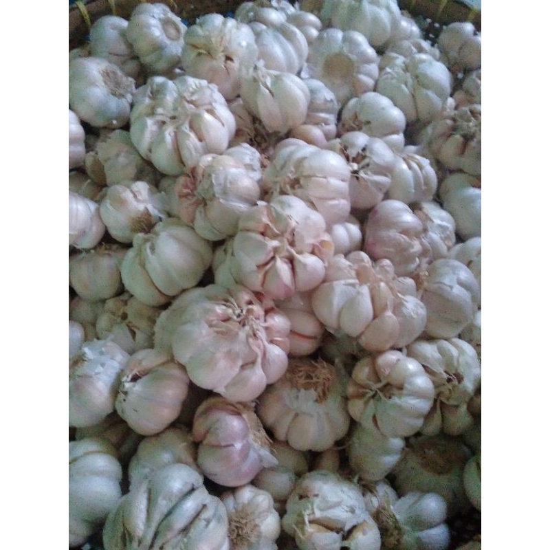 

mix 750 gram bawang merah 250 gram bawang putih