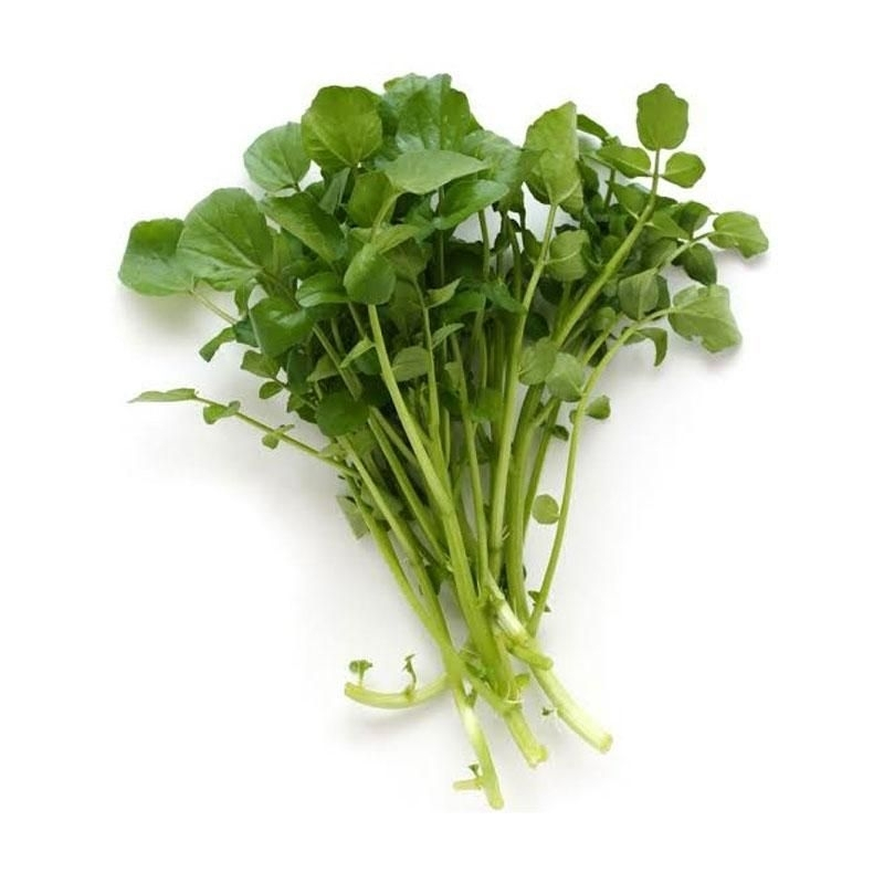 

Daun Slada Air Ikat Fresh - Sayur Segar Instan Malang