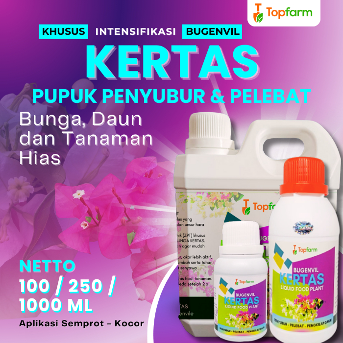 Pupuk Penyubur Bunga Kertas untuk Pertumbuhan Lebat dan Pengkilap Daun Alami