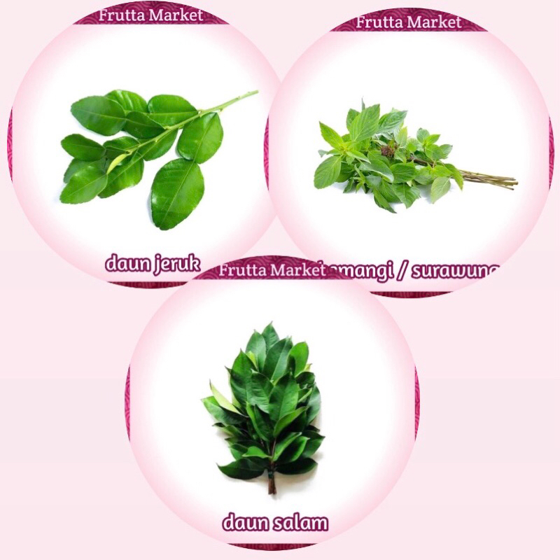

Daun Jeruk Daun Salam Daun Kemangi Fresh