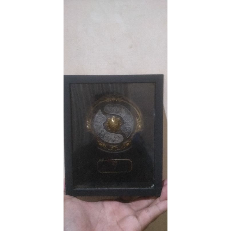 Dota 2 Aegis of Immortal 2020