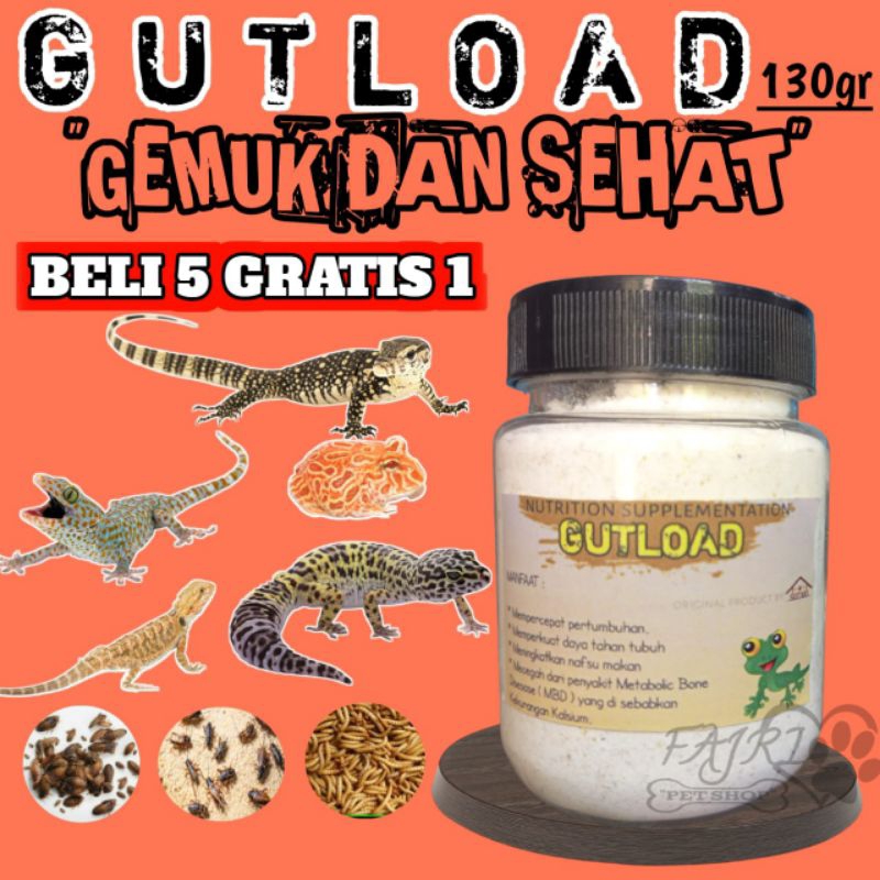 {Buy5get1free} 130GR GUTLOAD PENGGEMUK GECKO LEOPARD GEKO TOKEK REPTILE BABY SALVA PACMAN MAKANAN JA
