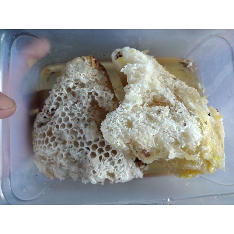 

Madu Bersarang 100 % asli