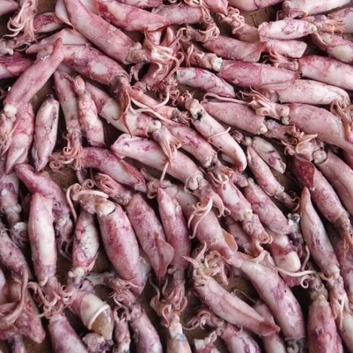 

GROSIR!!! 1KG IKAN CUMI ASIN/ Cumi Asin Murah / Cumi Asin Enak / Cumi Asin Gurih