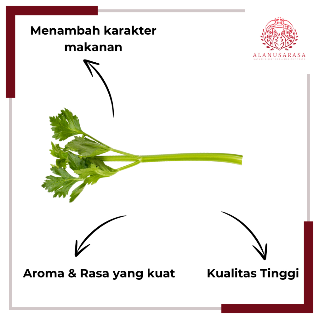 

Seledri Segar Berkualitas Tinggi | Alanusarasa - Tanpa Berat, Ideal untuk Masakan dan Salad