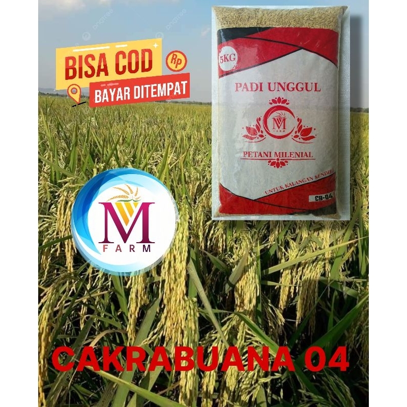 Benih Padi Cakrabuana 04 kemasan 5kg original produk