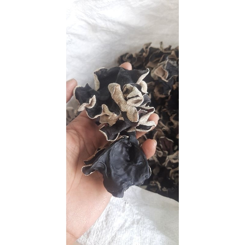 

JAMUR KUPING SUPER KEMASAN 1kg