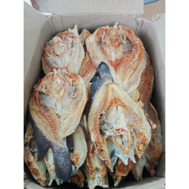 

Ikan kering asin Katamba fresh 500 gr
