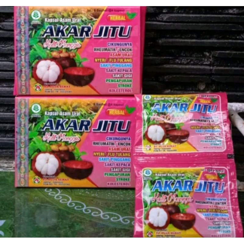 

Akar Jitu Kulit Manggis Herbal