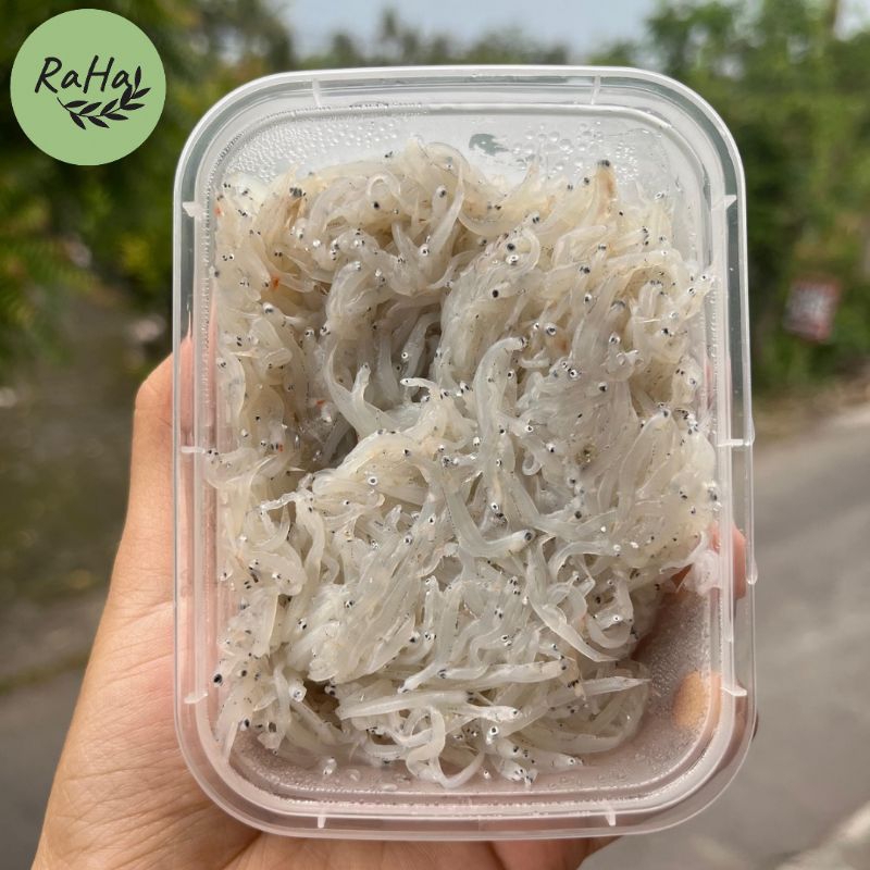 

Teri Nasi Basah [FROZEN] | lab tested