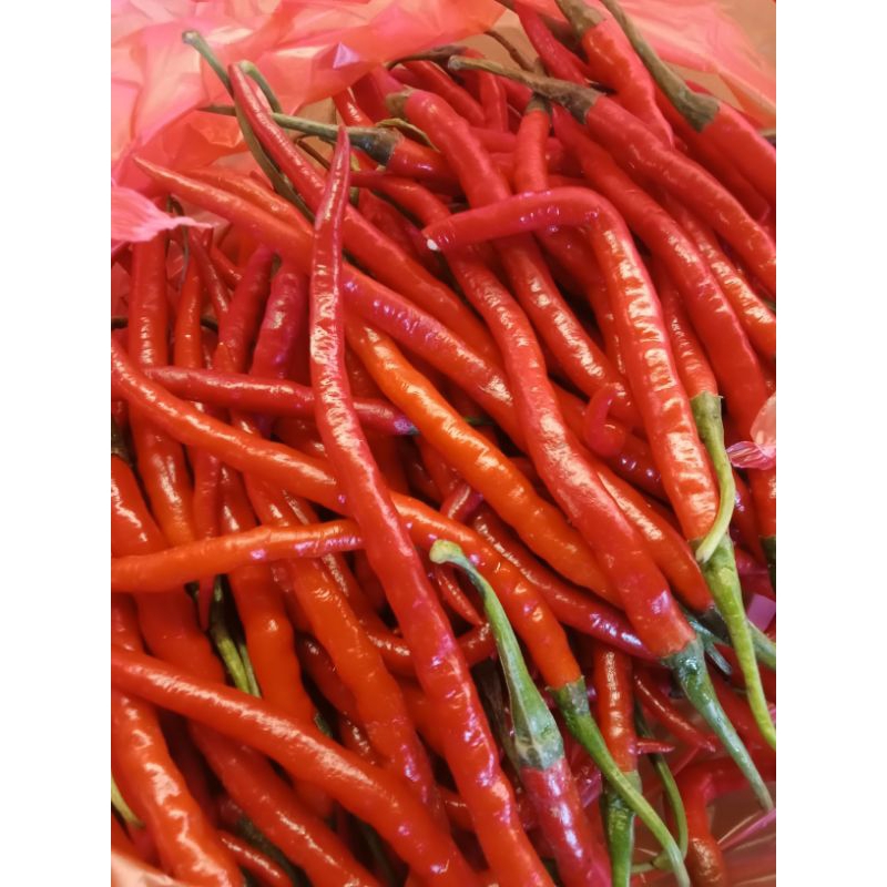 

cabe keriting merah 500grm