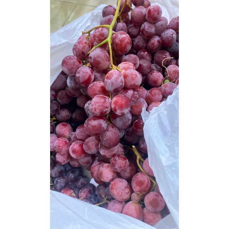 

Grape Red