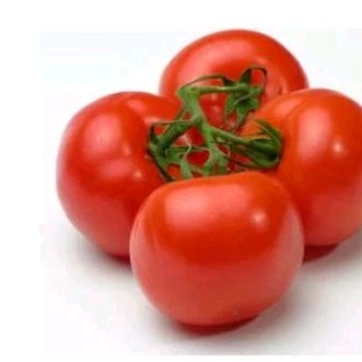 

Tomat segar 500 gram