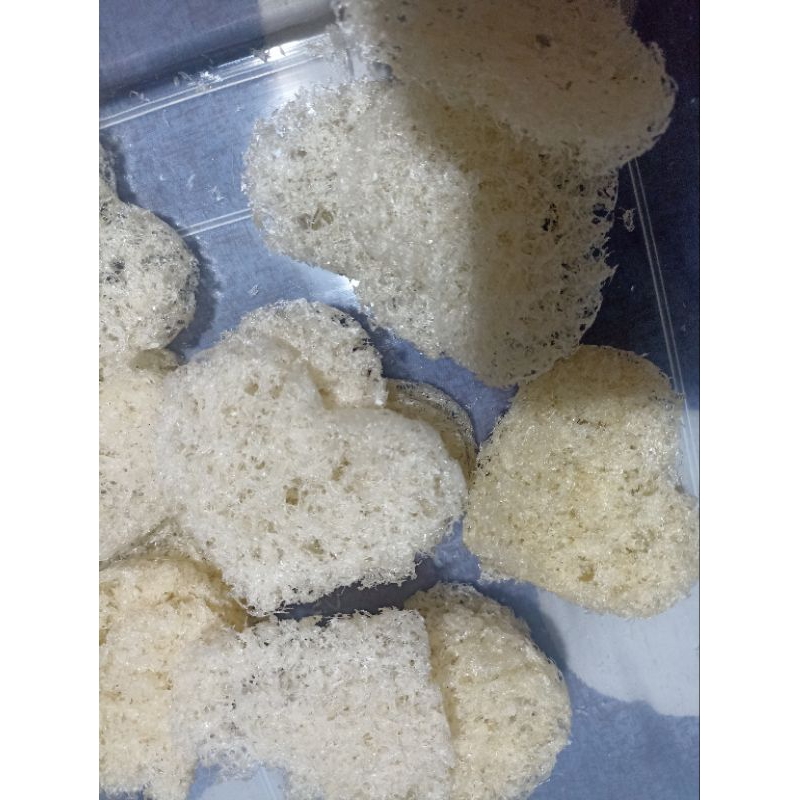 

SARANG WALET SIAP KONSUMSI | SUDAH 100% BERSIH