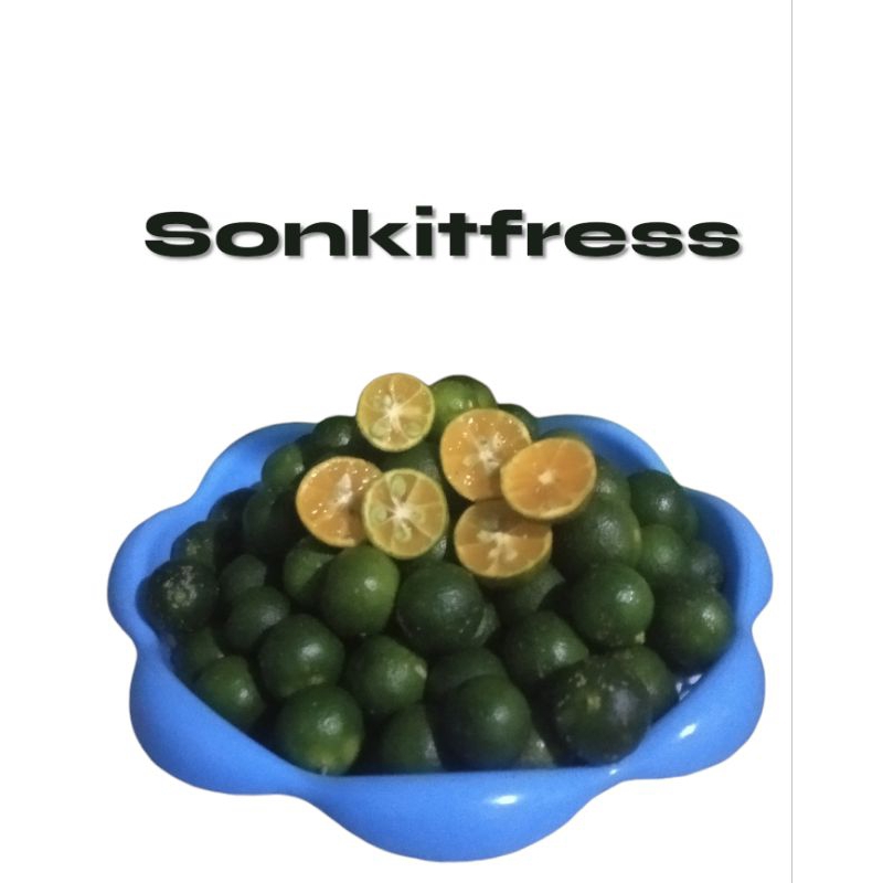 

JERUK SONKIT FRESH HASIL PETIKAN SENDIRI