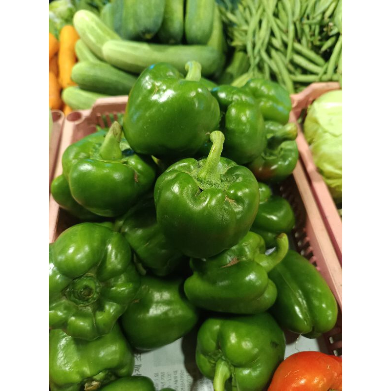 

paprika hijau 500gr