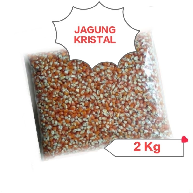 Jagung Kristal Merpati 2 Kg Pakan Burung Dara Unggas Ayam Angsa Hamster Hewan Ternak Berkualitas