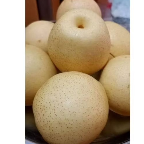 

buah pir isi 4,, 1kg