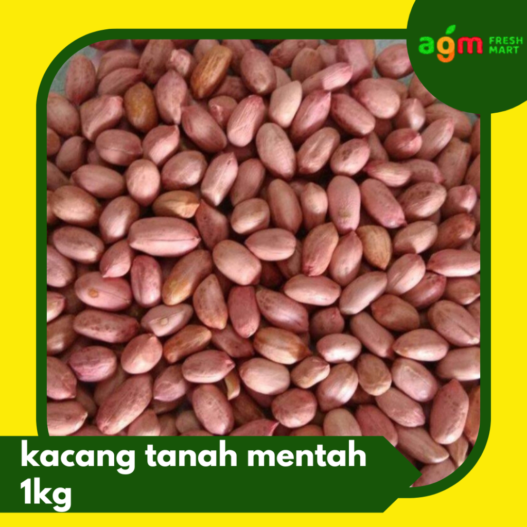 

Kacang Tanah Mentah fresh