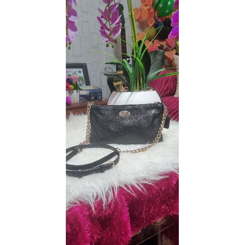 Coach Mini Crossbody Bag