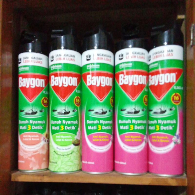 Baygon anti nyamuk dan kecoa 600 ml