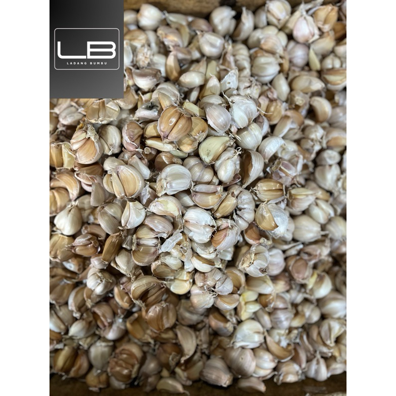 

Bawang putih boncel giling 1kg hasil bumi bumbu dan rempah