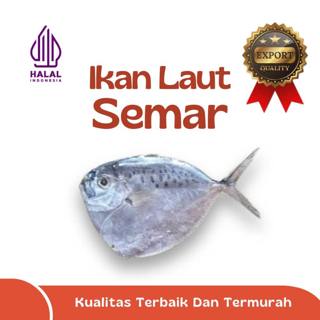 

IKAN SEMAR / IKAN ANI ANI / IKAN LAUT EKSPOR QUALITY