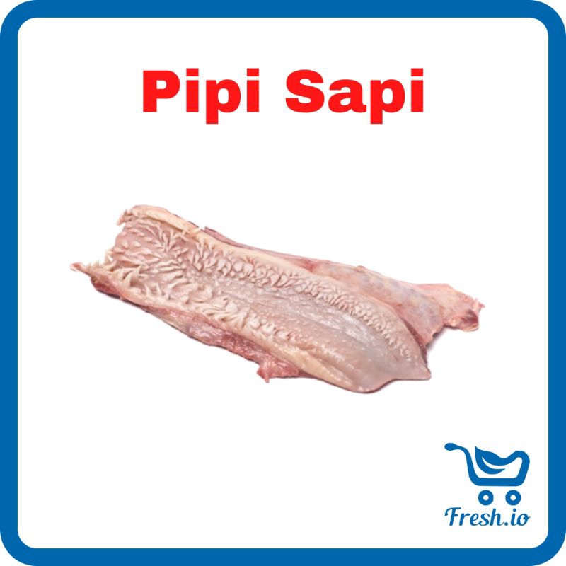 

Pipi Bibir Sapi