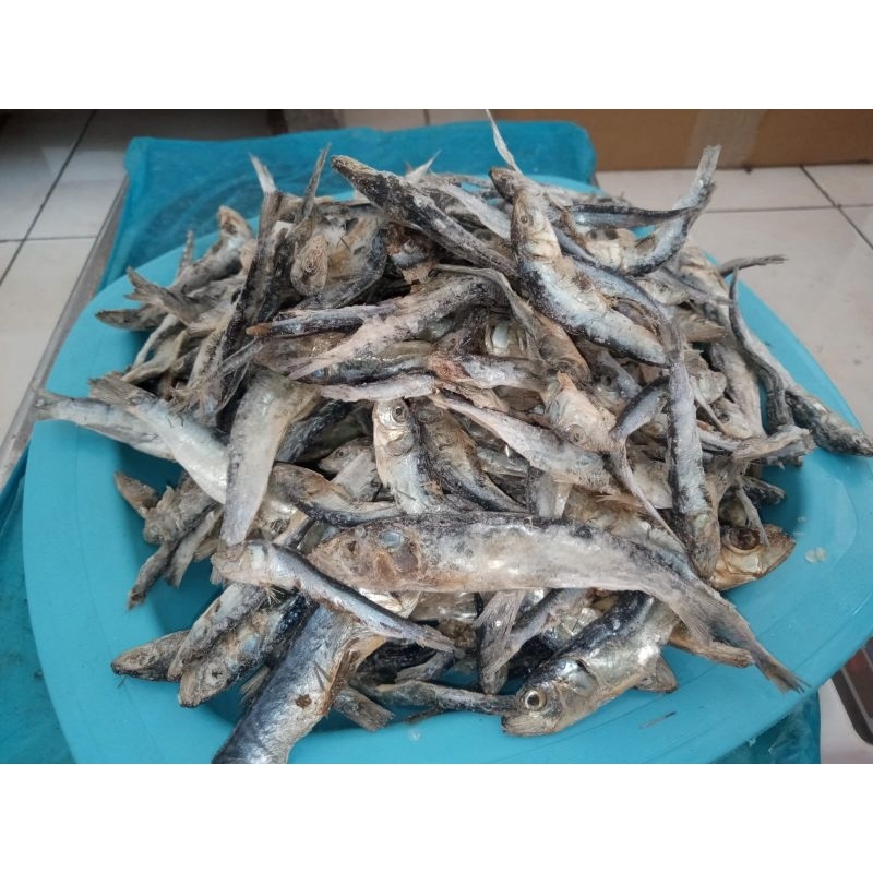 

ikan asin semenit