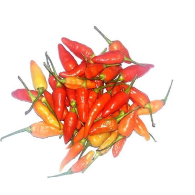 

250gram.CABE RAWIT FRESH