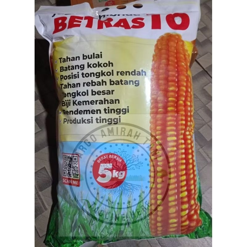 benih jagung hibrida betras 10 5kg