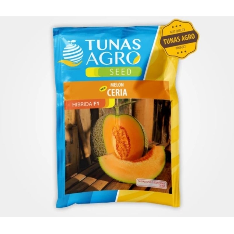 BENIH MELON NEW CERIA TUNAS AGRO F1