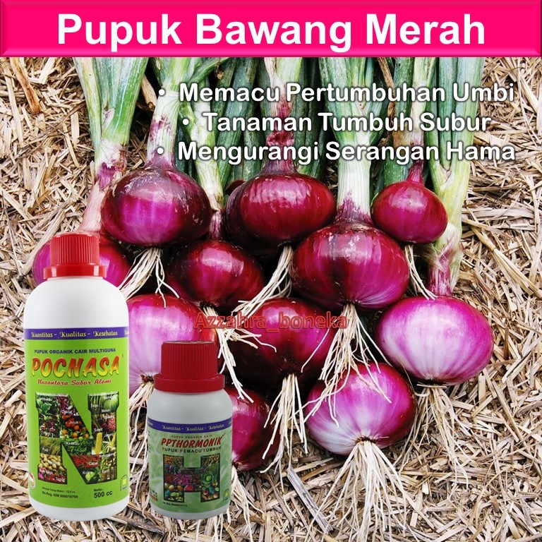 Pupuk Pembesar Umbi Bawang Merah
