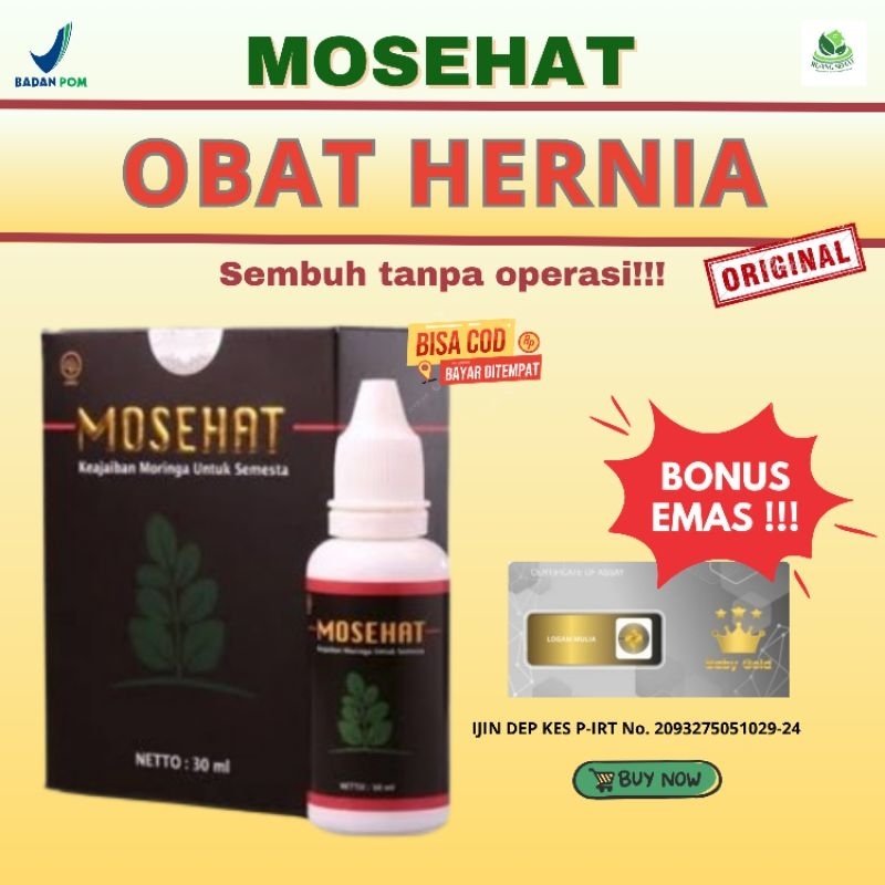 Mosehat Herbal Hernia 100% Original BPOM