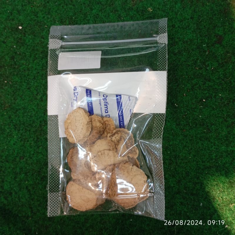 

Maca Root Akar Macca 25 gram Asli