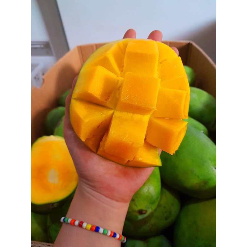 

Mangga Harum Manis fresh selalu /1kg