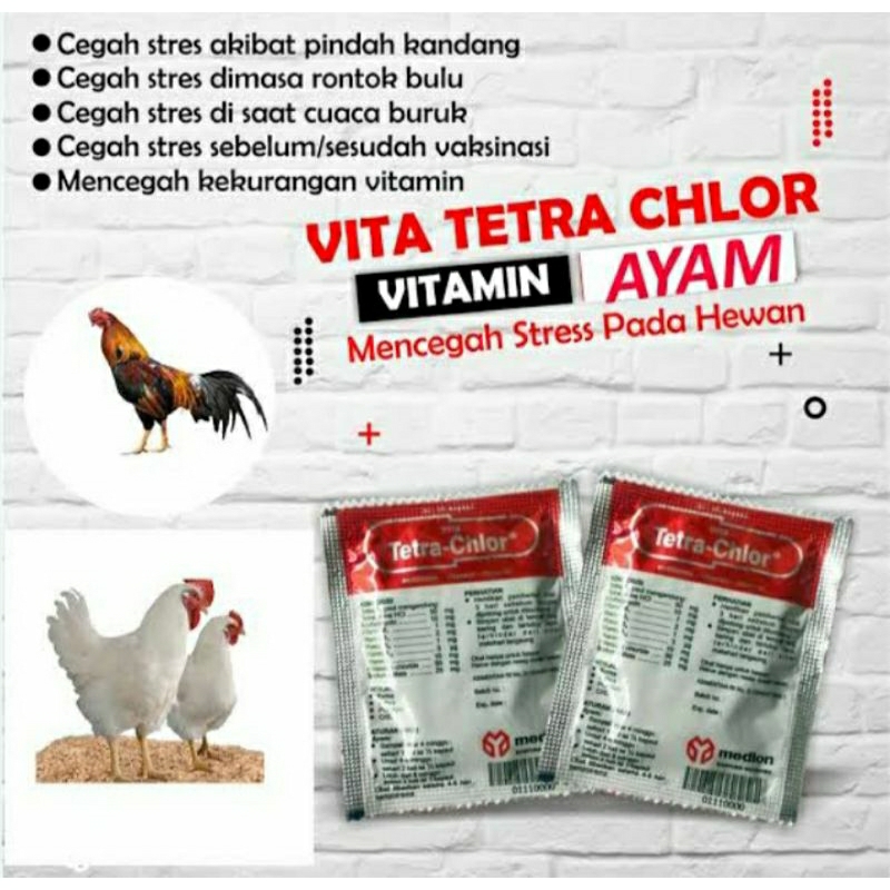 Tetra-Chlor 1Sachet TetraChlor Obat Ayam Unggas Mengatasi penyakit Unggas