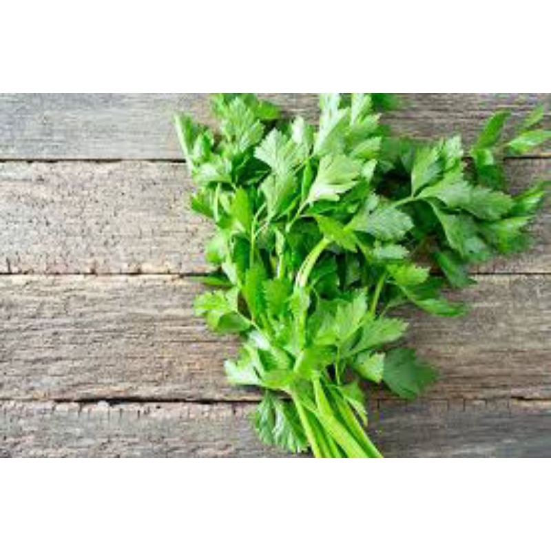 

daun seledri lokal 250grm